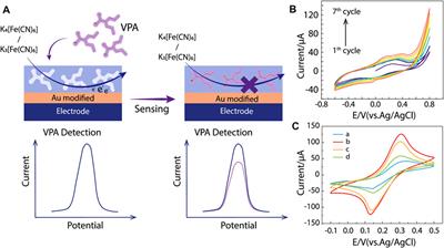 A One-Step Electropolymerized Biomimetic Polypyrrole Membrane-Based Electrochemical Sensor for Selective Detection of Valproate